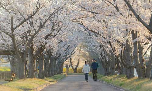 国内お勧め観光地 1 - 国内お勧め観光地